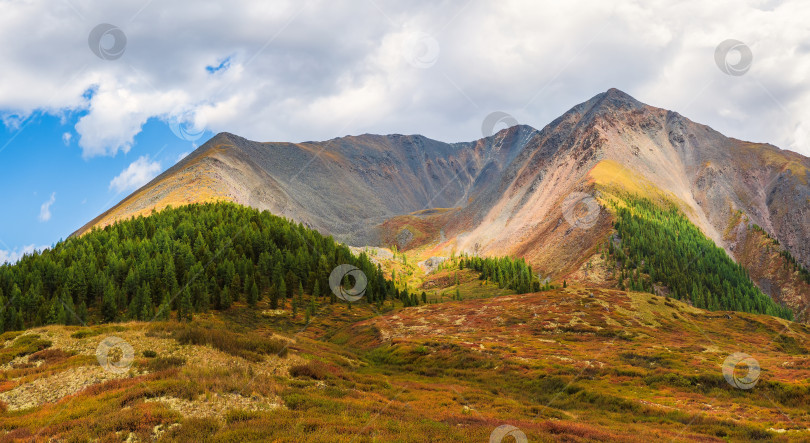 Скачать Живописная горная долина в пасмурный осенний день с солнечным светом на красных горных склонах, панорамные виды. фотосток Ozero