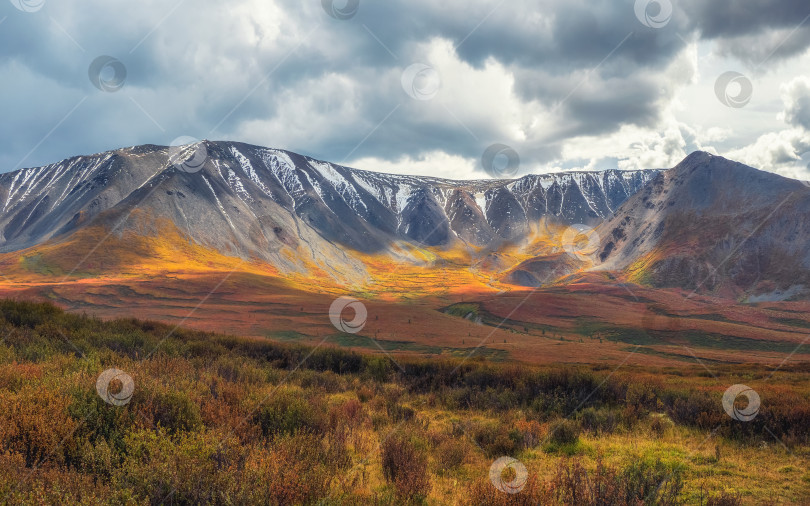 Скачать Живописное осеннее горное плато с потрясающим видом и лучами солнца на склоне холма. фотосток Ozero