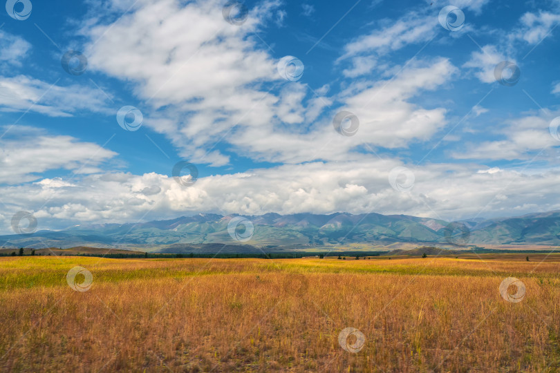 Скачать Фон сельскохозяйственного поля и гор. Небо с горами на заднем плане. фотосток Ozero