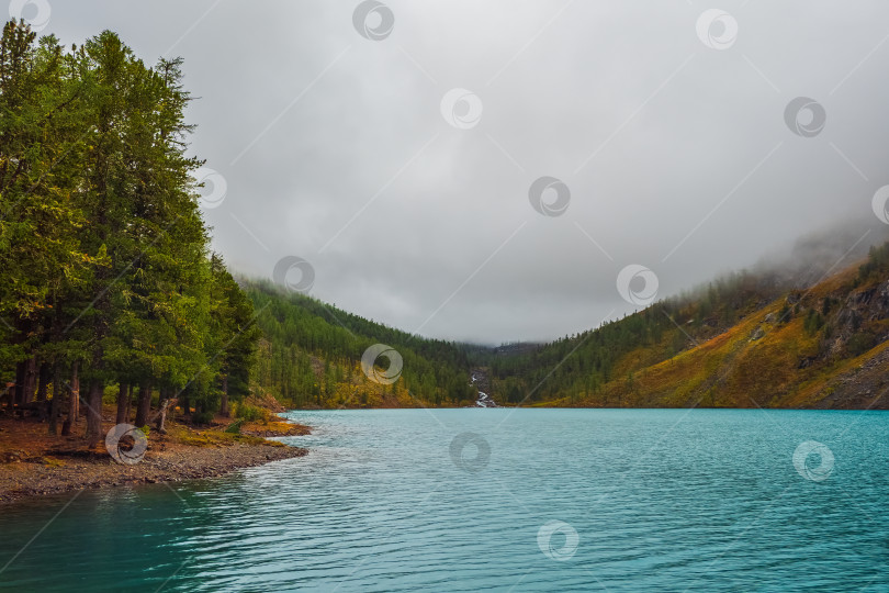 Скачать Силуэты еловых склонов вдоль горного озера в густом тумане. Отражение хвойных деревьев в голубой воде. Спокойный альпийский пейзаж прохладным ранним утром. Призрачный атмосферный пейзаж. фотосток Ozero