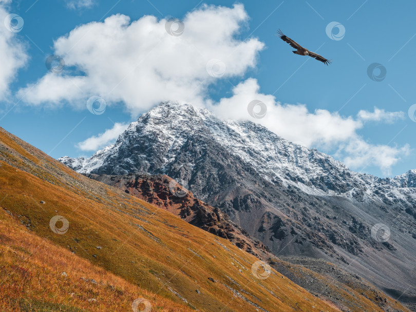 Скачать Белые облака над высокой остроконечной осенней горой. Заснеженный высокогорный альпийский пейзаж с заснеженной горной вершиной и острыми скалами под облачным голубым небом. фотосток Ozero