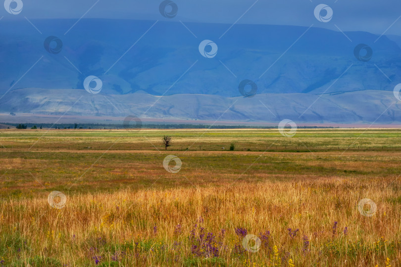 Скачать Фон сельскохозяйственного поля и гор. Яркое лето фотосток Ozero