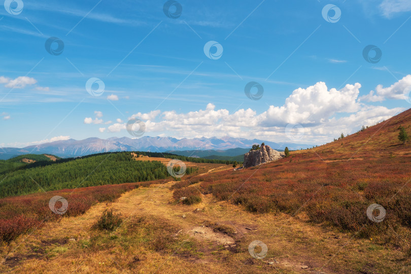 Скачать Осеннее плато. Пеший поход по горной тропе. Яркая атмосфера фотосток Ozero