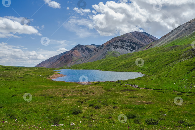 Скачать Зеленый альпийский пейзаж с горным озером в зеленой долине летом под голубым небом. Потрясающий горный пейзаж с прекрасным ледниковым озером среди залитых солнцем холмов и скал на фоне горного хребта. фотосток Ozero