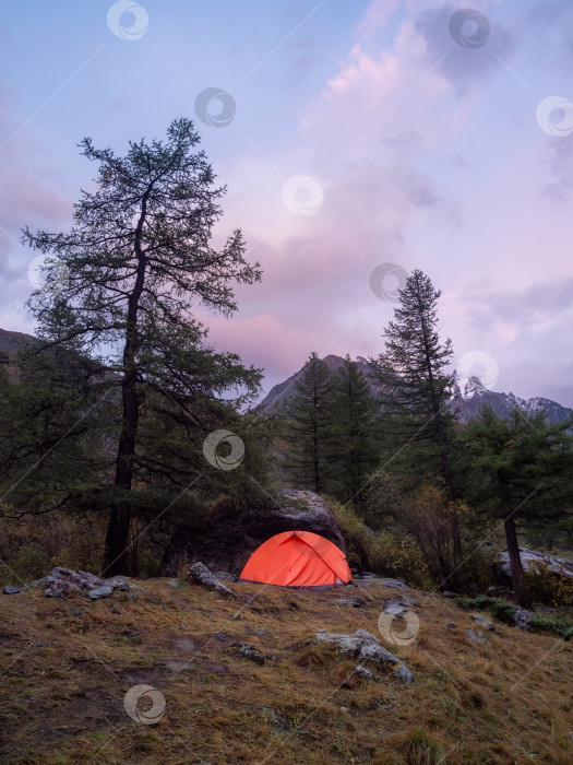 Скачать Летний лагерь "Сумерки" в горах. Удивительный пейзаж сумерек в горах с палаткой на перевале в фиолетовом свете. Палатка возле скалистого холма в сиреневом свете. Пурпурный свет заката. фотосток Ozero