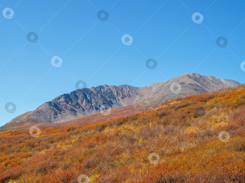 Скачать Минималистичный красочный горный пейзаж с расположенными по диагонали холмами фотосток Ozero