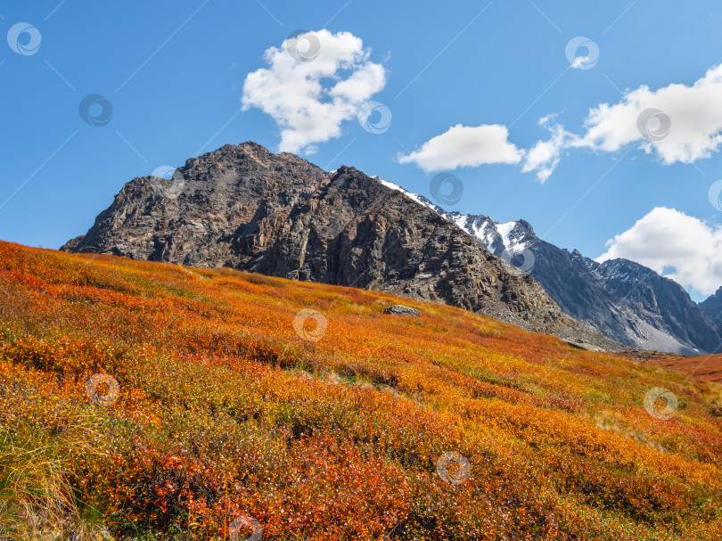 Скачать Минималистичный красочный горный пейзаж со склоном холма в золотистом солнечном свете осенью в пастельных тонах. Удивительный золотистый свет и тень на скале в осенней степи. Высокогорное плато. фотосток Ozero