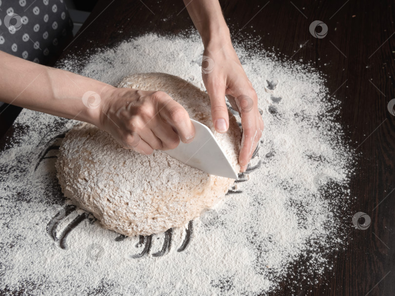 Скачать Рука пекаря пластиковым ножом нарезает сырое бездрожжевое тесто на темном фоне. фотосток Ozero