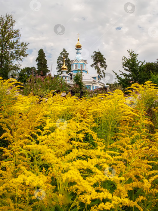 Скачать Церковь находится за желтыми цветами. Вертикальный вид. фотосток Ozero