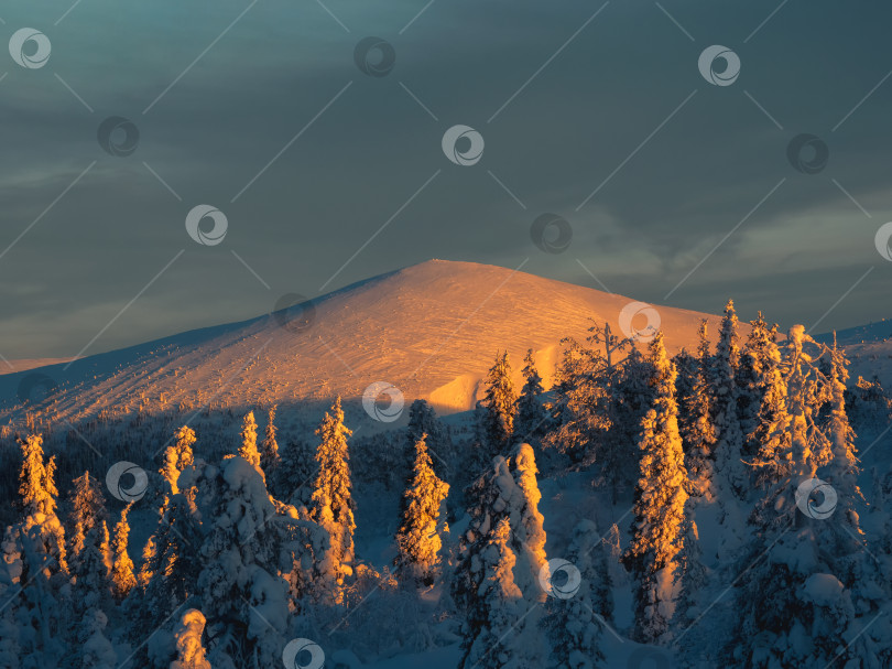 Скачать Удивительный яркий контрастный свет заходящего солнца на полярном холме.Красивая солнечная полярная гора с темным вечерним небом. Коппер-хилл. Закат в зимних горах. фотосток Ozero
