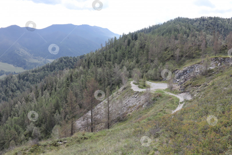 Скачать Старая дорога в горах Алтая фотосток Ozero