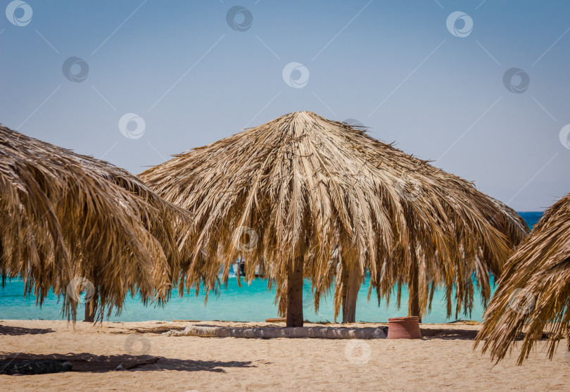 Скачать Зонтики на песчаном пляже фотосток Ozero