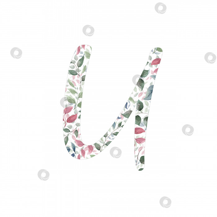 Скачать Заглавная буква U для оформления текста, праздничных открыток, декора и оформления текстовых сообщений, свадебных приглашений. фотосток Ozero
