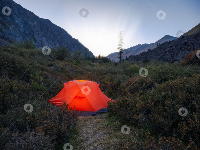 Скачать Раскачивающаяся оранжевая палатка в сумерках в горах. Уютный кемпинг в прохладных осенних горах. фотосток Ozero