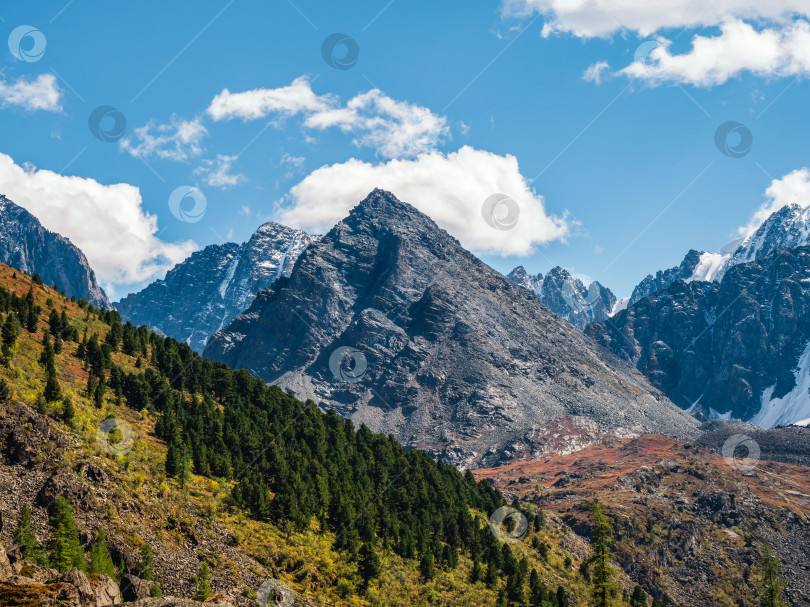Скачать Летний высокогорный альпийский пейзаж с заснеженной горной вершиной, острыми скалами и лесом в долине под облачным голубым небом. фотосток Ozero