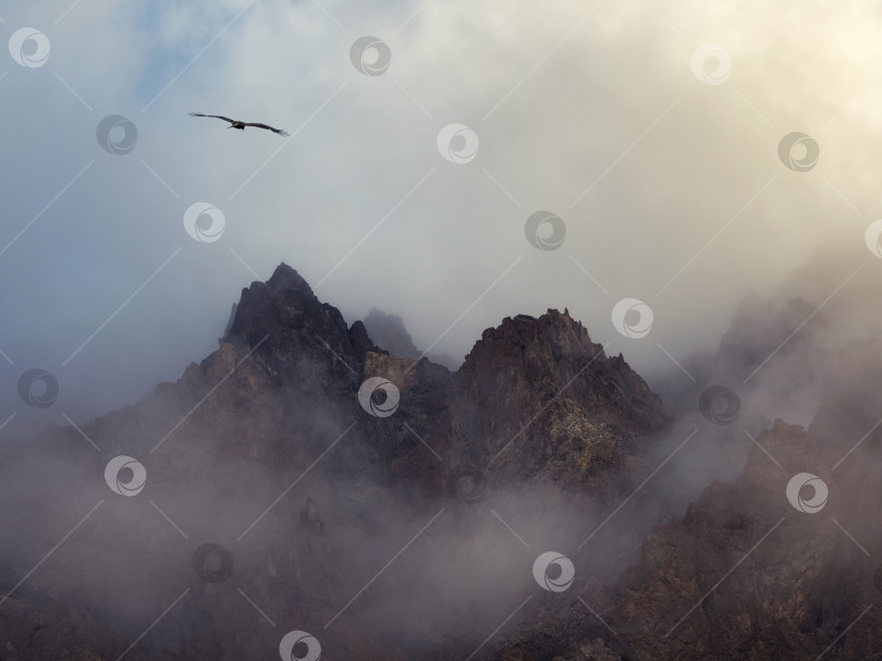 Скачать Ужасные горные тени. Драматический туман среди гигантских скалистых гор. Призрачный атмосферный вид на большой утес в облачном небе. Низкие облака и красивые скалистые горы. Минималистский пейзаж таинственного места фотосток Ozero