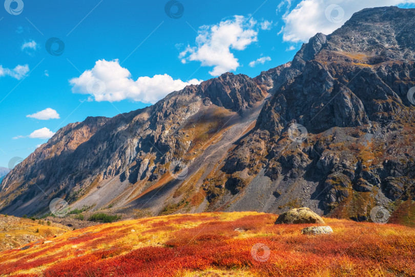 Скачать Осень в горах. Чудесный альпийский пейзаж с оранжевым осенним холмом у подножия скалистой горы в лучах солнца. Пестрый горный пейзаж с серыми скалами в золотистых осенних тонах. фотосток Ozero
