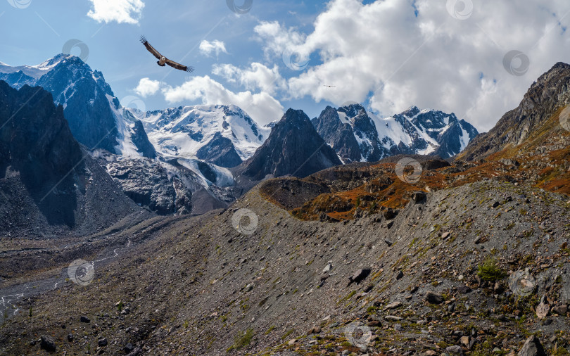 Скачать Тропа по гребню горы, крутой склон. фотосток Ozero