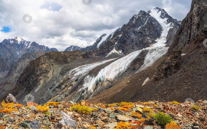 Скачать Осеннее горное плато с видом на ледник. фотосток Ozero