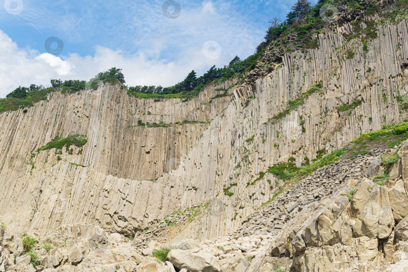 Скачать высокий прибрежный утес, образованный застывшими каменными колоннами из лавы, мыс Столбчатый на острове Кунашир фотосток Ozero