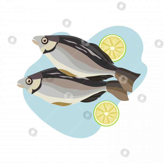 Скачать Рыба с дольками лимона. Иллюстрация в плоском стиле. фотосток Ozero
