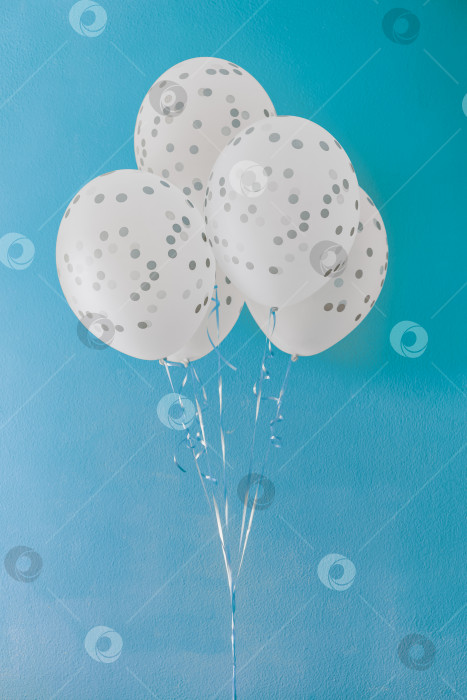 Скачать Белые гелиевые шары с серыми точками на синем фоне. Несколько праздничных воздушных шаров в белую и серую крапинку на металлических лентах на фоне выкрашенной в голубой цвет стены, которая выглядит как чистое небо. Подарок на день рождения. фотосток Ozero