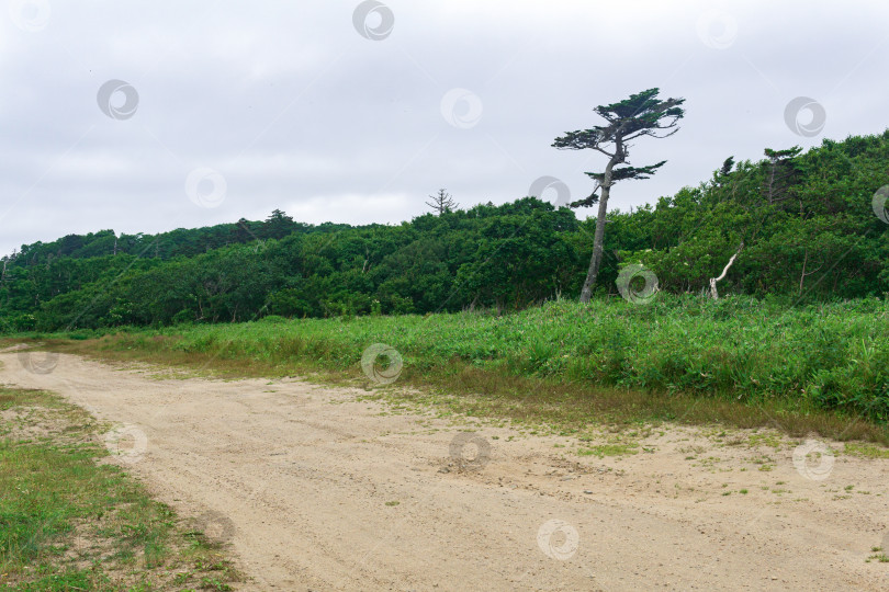 Скачать песчаная грунтовая дорога в сельской местности фотосток Ozero