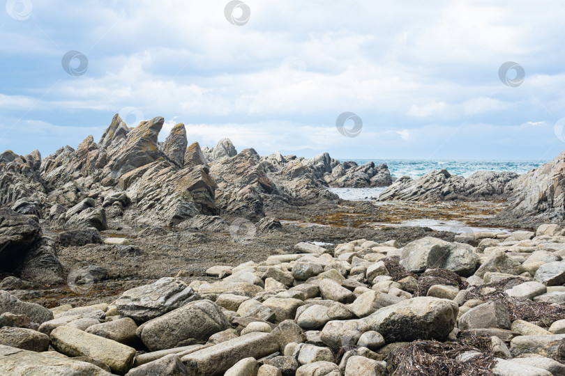 Скачать острые зазубренные базальтовые скалы на морском побережье, мыс Столбчатый на острове Кунашир фотосток Ozero