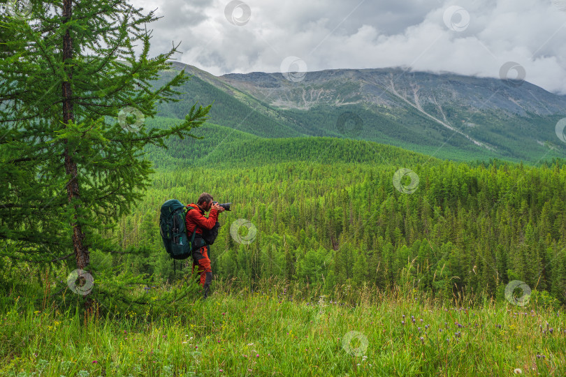 Скачать Фотограф-путешественник делает снимок зеленого альпийского летнего нагорья. Одиночный поход. Путешественник-фрилансер, блогер lifestyle, концепция приключенческого путешествия на открытом воздухе. фотосток Ozero