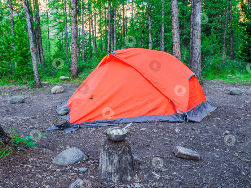 Скачать Разбив лагерь в глухом лесу. Оранжевая палатка в хвойном горном лесу. Покой и расслабление на природе. фотосток Ozero