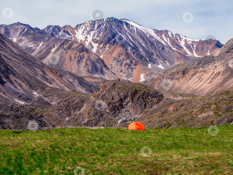 Скачать Одиночный поход. Разбив лагерь на летнем зеленом скалистом высокогорном плато. Туристическая палатка на фоне ледника и высоких заснеженных гор. фотосток Ozero