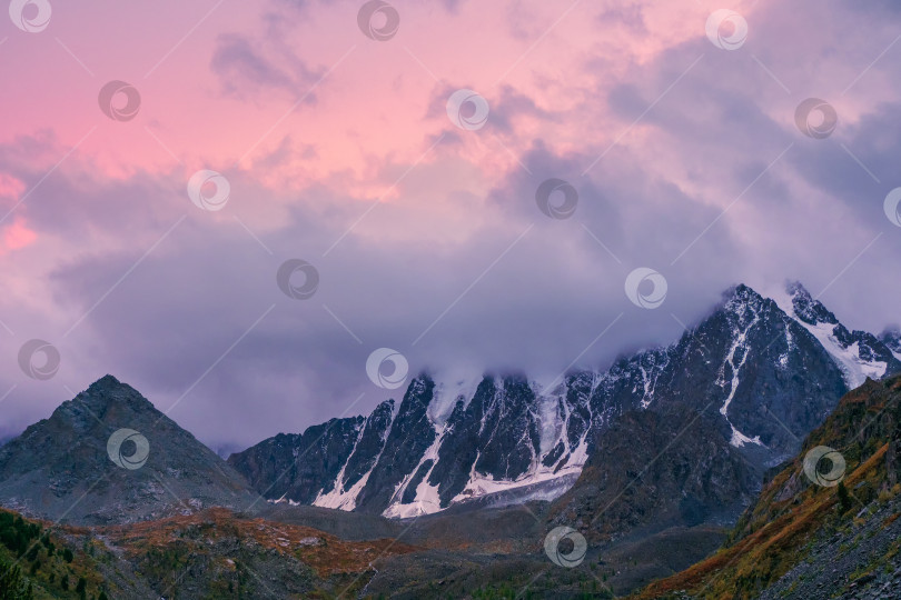 Скачать Пурпурный закат над величественными горами. Закат в пурпурных тонах. Атмосферный пурпурный пейзаж с высокогорной заснеженной горной долиной. фотосток Ozero