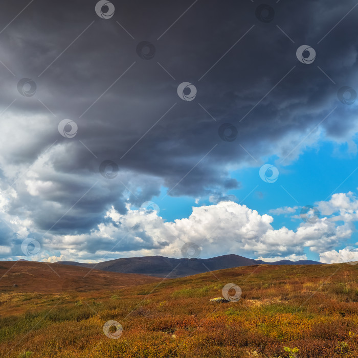 Скачать Страшные грозовые тучи нависли над осенней долиной. Небо перед грозой с грозовыми облаками. фотосток Ozero
