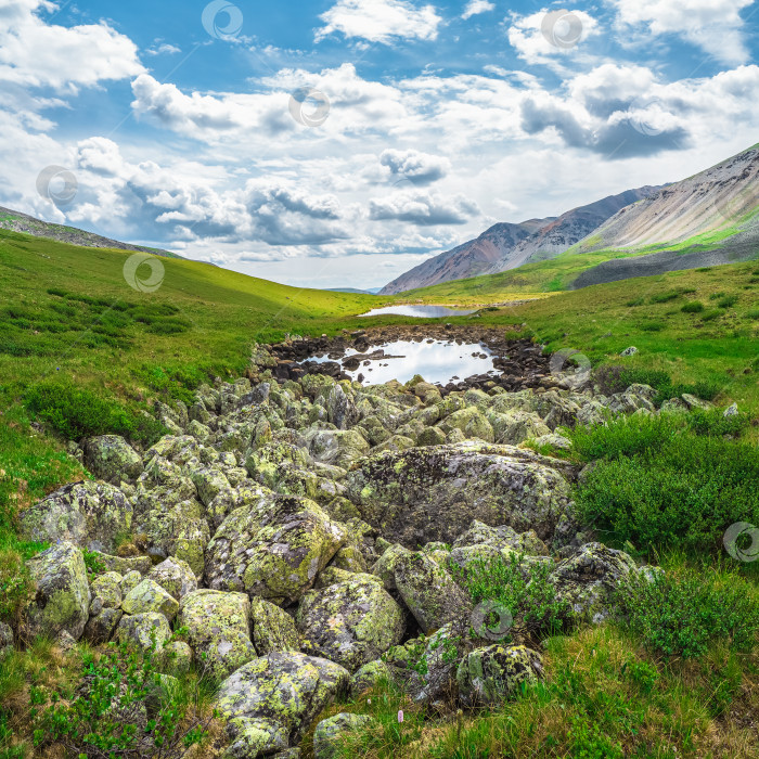 Скачать Каменное русло реки в летнем альпийском нагорье. Русло реки без воды, летняя засуха. Русло реки вымощено камнями. фотосток Ozero