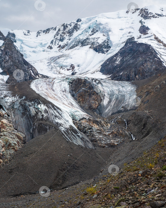 Скачать Вертикальный горный пейзаж с длинным языком ледника и темной заснеженной горной стеной. Живописный альпийский пейзаж с ледниковым языком и высокой горной стеной. фотосток Ozero