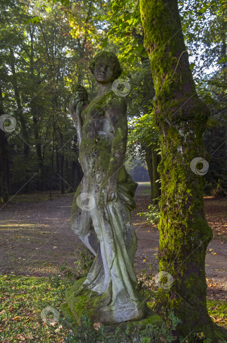 Скачать Покрытая мхом каменная статуя в старом парке. фотосток Ozero