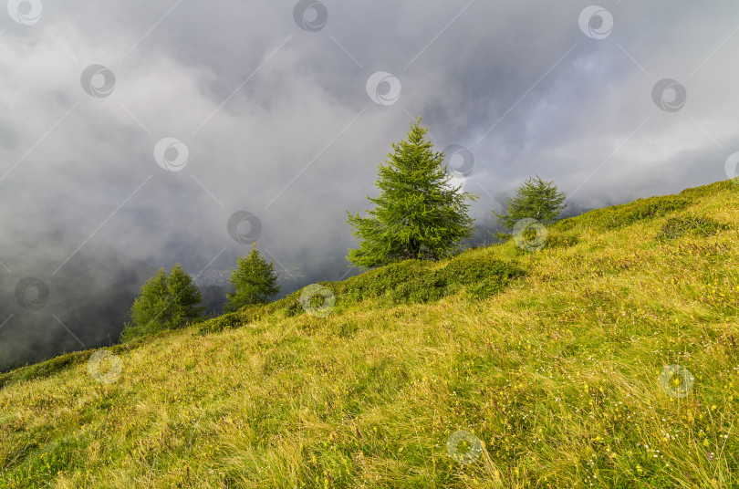 Скачать Низкие облака в горах. Альпы, Италия. фотосток Ozero