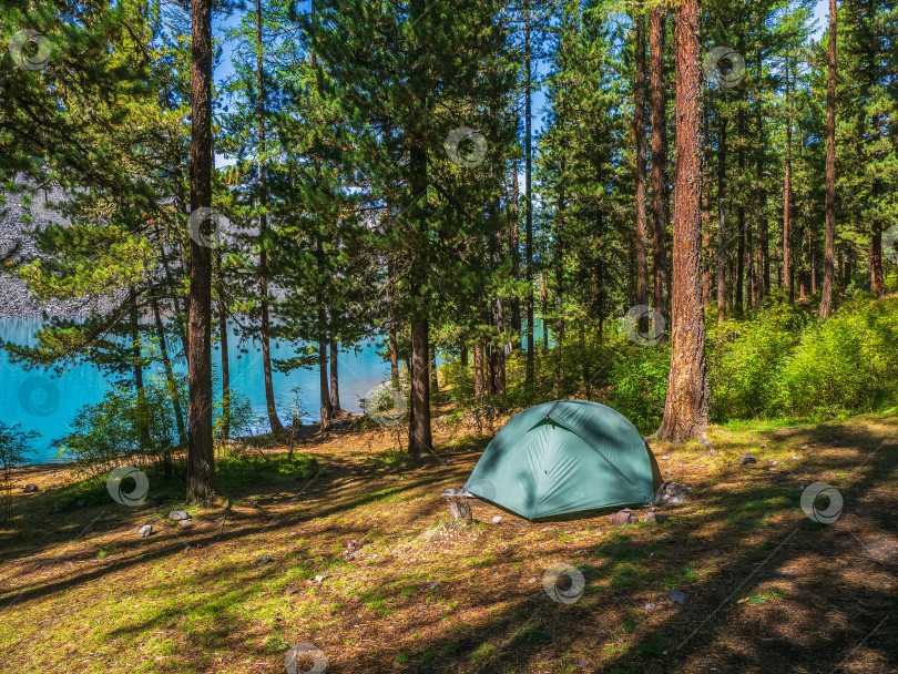 Скачать Кемпинг в тенистом зеленом лесу на берегу озера.Голубая палатка в хвойном горном лесу. Покой и расслабление на природе. фотосток Ozero