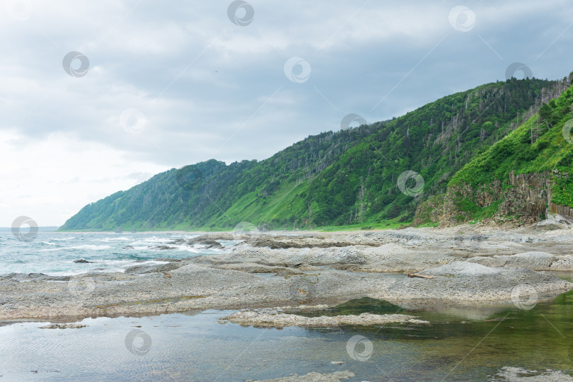 Скачать прибрежный пейзаж, панорама с красивым столбчатым базальтовым утесом на лесистом побережье острова Кунашир фотосток Ozero