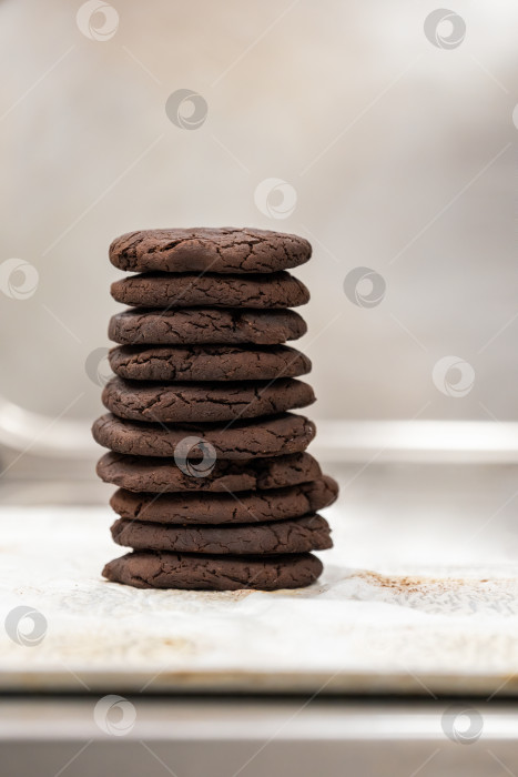 Скачать Стопка свежего шоколадного печенья с местом для копирования. Домашние чипсы для брауни. фотосток Ozero