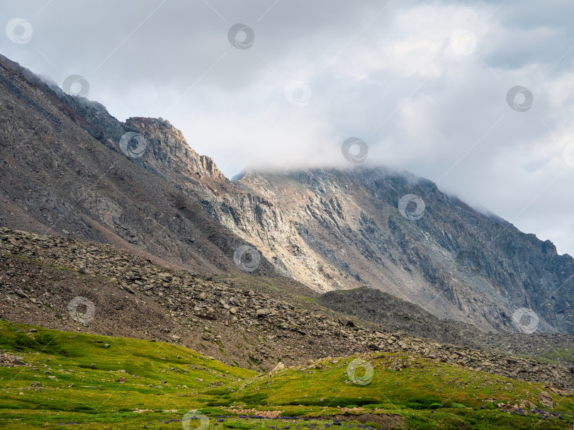 Скачать Темный атмосферный туманный горный пейзаж. Лишайники на острых камнях. Каменное поле в густом тумане в высокогорье. фотосток Ozero