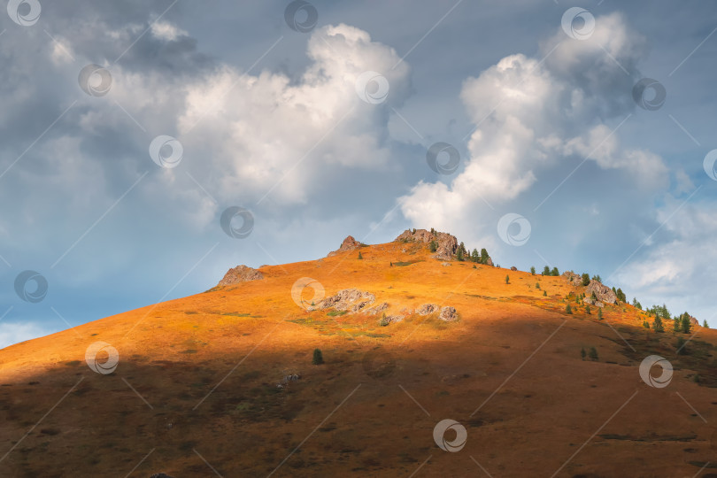 Скачать Удивительный горный пейзаж с конусообразной скалой в золотистом солнечном свете под прекрасными белыми облаками. Природный фон скалистых гор и зеленого кедрового леса. Красочный солнечный фон с высокой скалистой горой фотосток Ozero