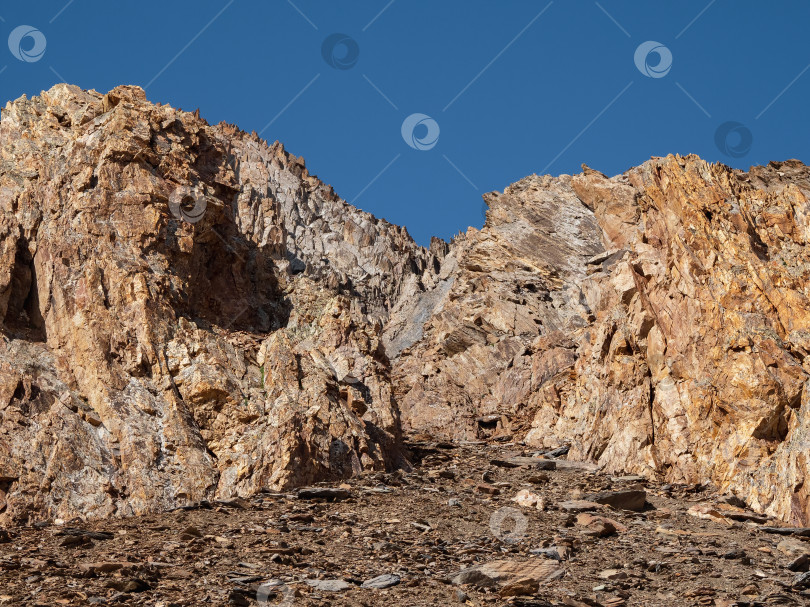 Скачать Луг красного камня, минералы, разбросанные по полю. Минималистский живописный осенний пейзаж с замшелыми камнями в солнечном свете в горах. Летний минимализм в горах. фотосток Ozero