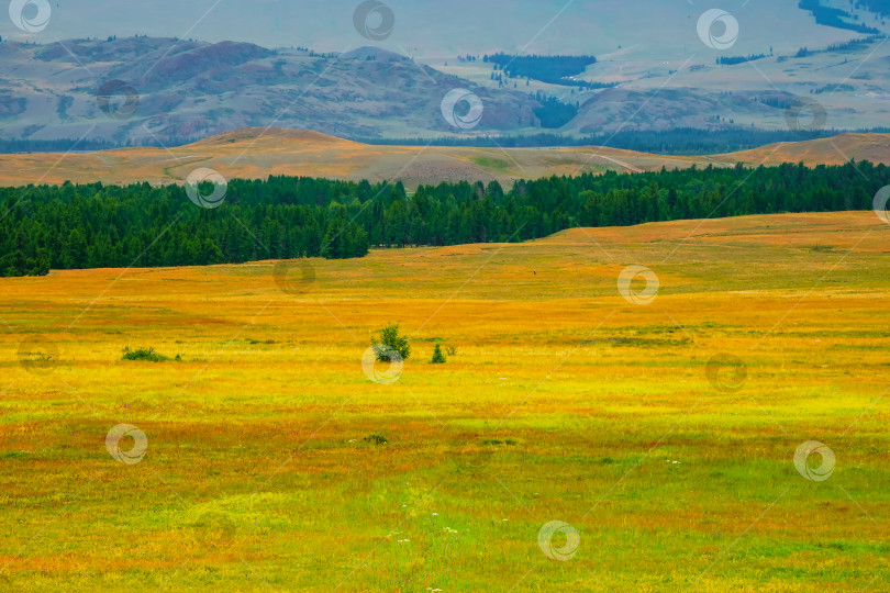 Скачать Яркий природный минималистичный пейзаж с весенним разноцветным полем и горами на заднем плане. Естественный фон горной степи. фотосток Ozero