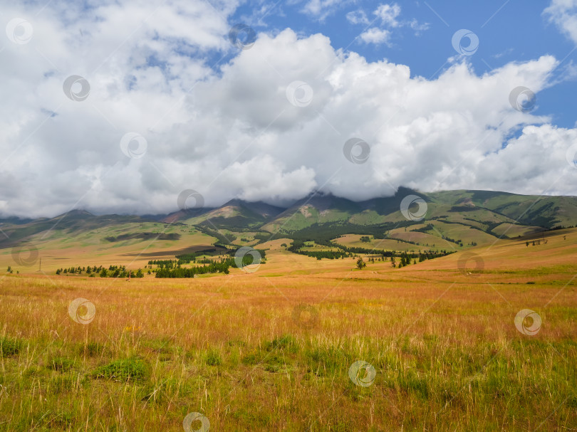 Скачать Яркий осенний степной пейзаж. Степь на фоне гор. Фон сельскохозяйственного поля и гор. фотосток Ozero