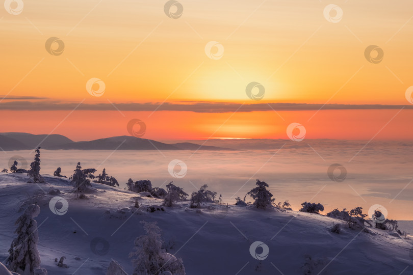 Скачать Солнце встает. Предрассветное утро на зимнем склоне. Прекрасный арктический закат. Живописное красочное небо на рассвете. Вид с высоты птичьего полета на яркое небо восхода солнца. Вид сверху с большой высоты фотосток Ozero