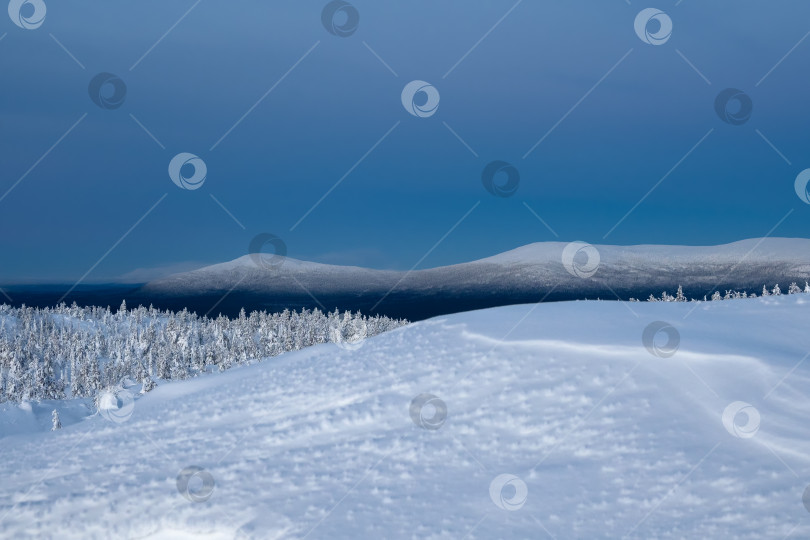 Скачать Заснеженные холмы полярного конуса зимой ранним утром. Зимний полярный пейзаж. Вид на заснеженные холмы. Холодная зимняя погода. Суровый северный климатический фон. фотосток Ozero