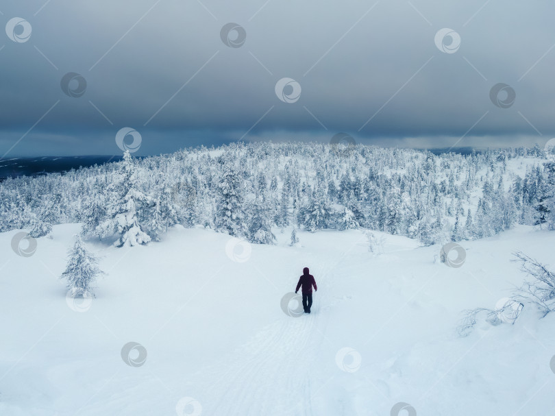 Скачать Одинокий путник в сказочном зимнем лесу. Суровая северная погода, плохая видимость. Полярная экспедиция. Заснеженный склон в туманной пелене инея. фотосток Ozero