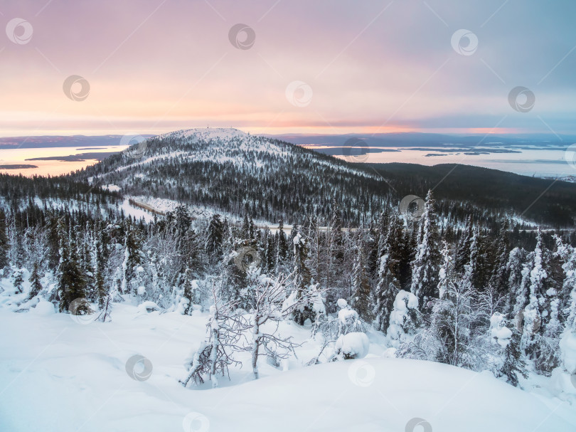 Скачать Прекрасный арктический закат. Живописное красочное небо на рассвете. Заснеженный склон полярной сопки зимой ранним утром. Зимний полярный пейзаж. Холодная зимняя погода. фотосток Ozero