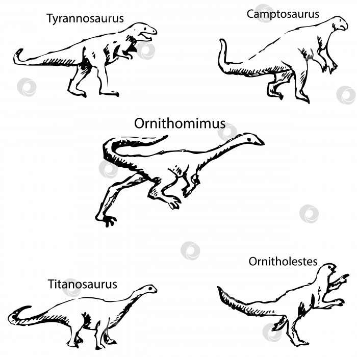 Скачать Динозавры с именами. Карандашный набросок от руки фотосток Ozero